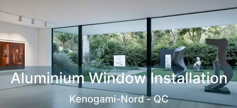  Aluminium Window Installation Kenogami-Nord - QC