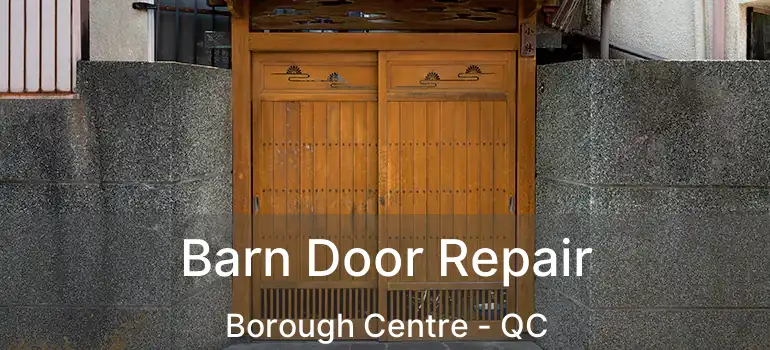  Barn Door Repair Borough Centre - QC