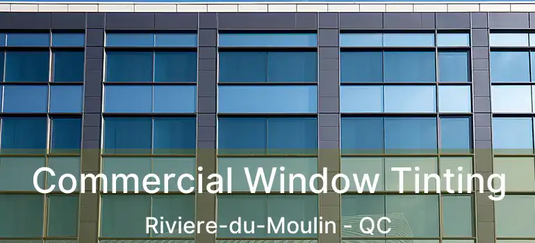  Commercial Window Tinting Riviere-du-Moulin - QC