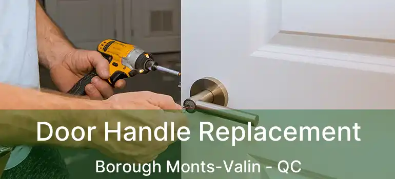  Door Handle Replacement Borough Monts-Valin - QC