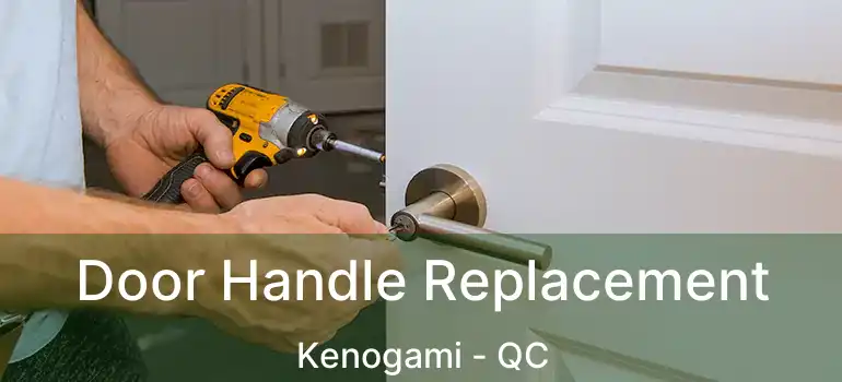  Door Handle Replacement Kenogami - QC
