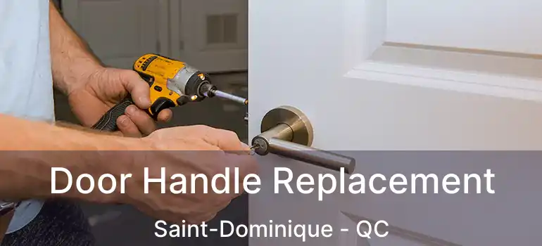  Door Handle Replacement Saint-Dominique - QC