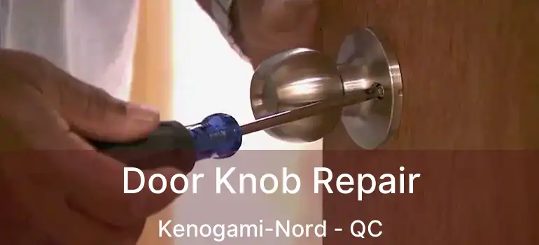  Door Knob Repair Kenogami-Nord - QC