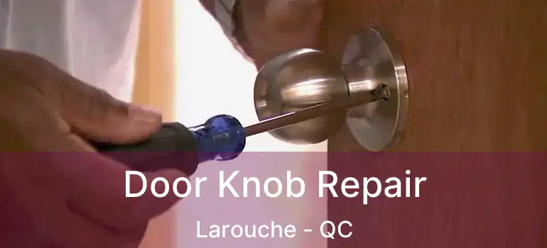  Door Knob Repair Larouche - QC