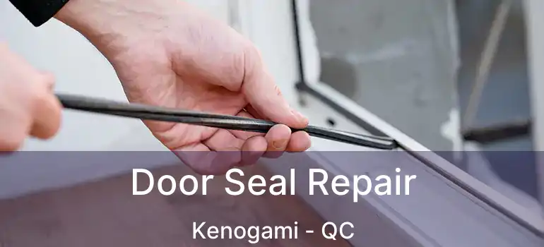  Door Seal Repair Kenogami - QC