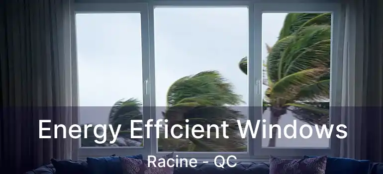  Energy Efficient Windows Racine - QC