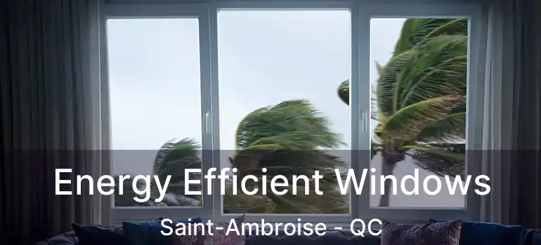  Energy Efficient Windows Saint-Ambroise - QC