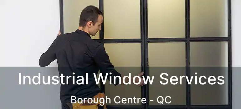  Industrial Window Services Borough Centre - QC