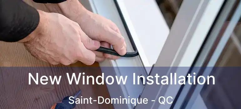  New Window Installation Saint-Dominique - QC