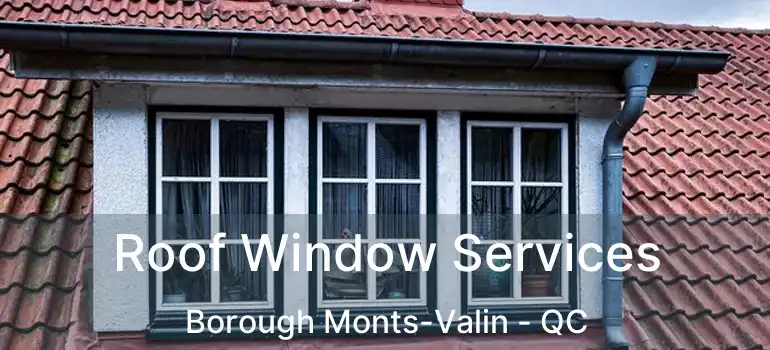  Roof Window Services Borough Monts-Valin - QC