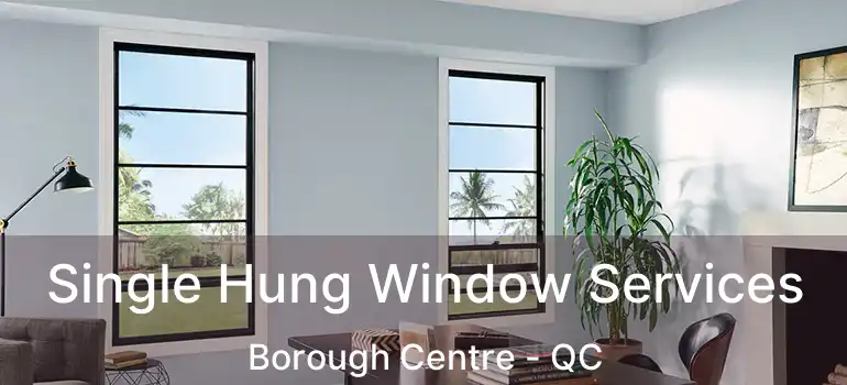  Single Hung Window Services Borough Centre - QC