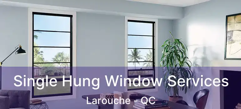  Single Hung Window Services Larouche - QC