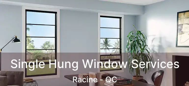  Single Hung Window Services Racine - QC