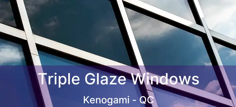  Triple Glaze Windows Kenogami - QC