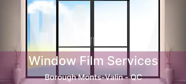  Window Film Services Borough Monts-Valin - QC