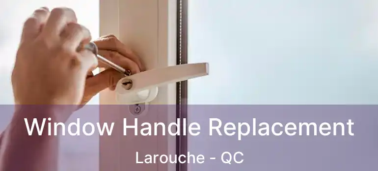  Window Handle Replacement Larouche - QC