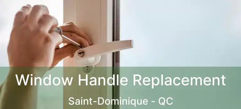  Window Handle Replacement Saint-Dominique - QC
