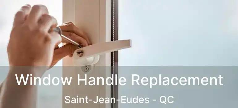  Window Handle Replacement Saint-Jean-Eudes - QC