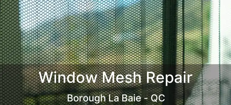  Window Mesh Repair Borough La Baie - QC