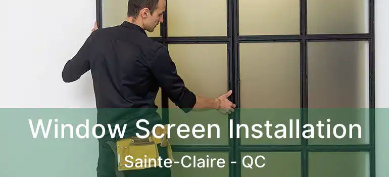  Window Screen Installation Sainte-Claire - QC